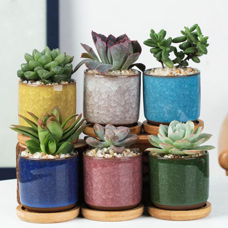 Aloe Vera Pot - 6 sztuk/zestaw ceramiczny zestaw doniczek Mini