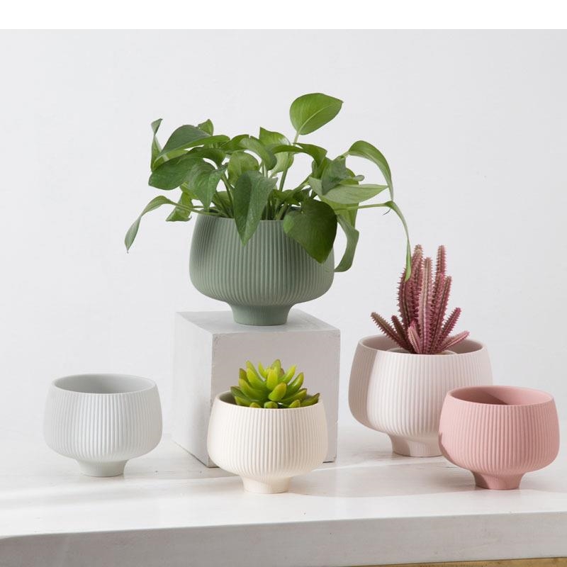 Aloe Vera Pot - Wielokolorowe paski wazon ceramiczny rośliny doniczkowe