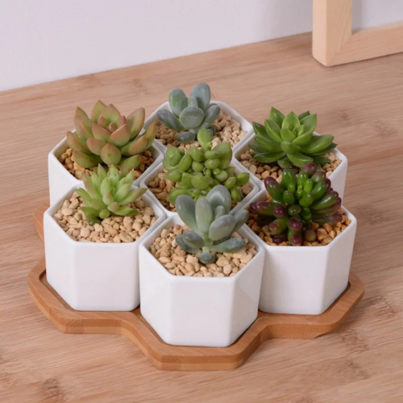 Aloe Vera Pot - Zestaw 4/7/9/10 sześciokątnych doniczek biała ceramiczna