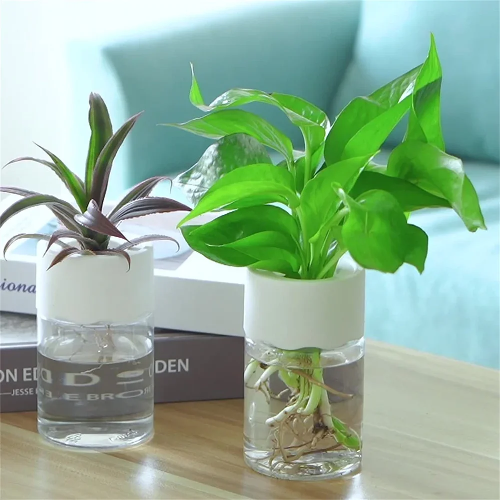 Mini hydroponiczna doniczka, p – Aloe Vera Pot recenzja i cena