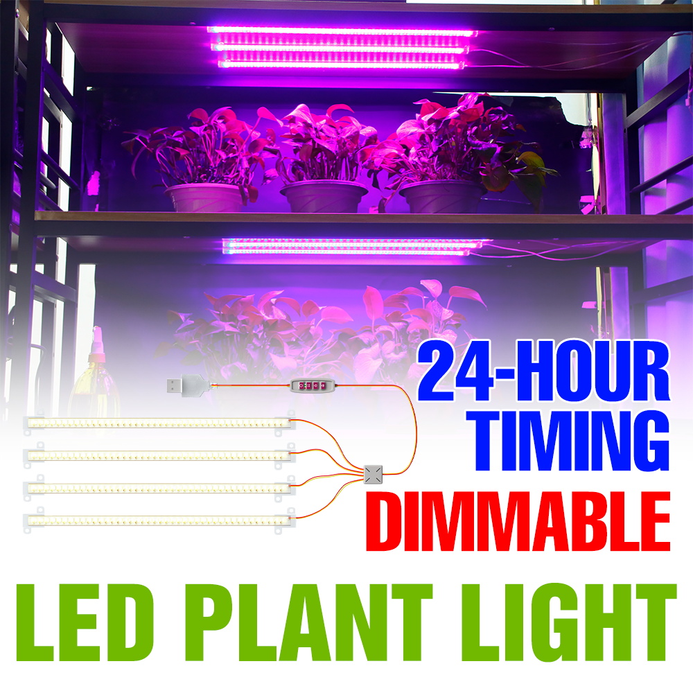 Listwa LED do uprawy roślin w  – Echeveria Succulent recenzja i cena