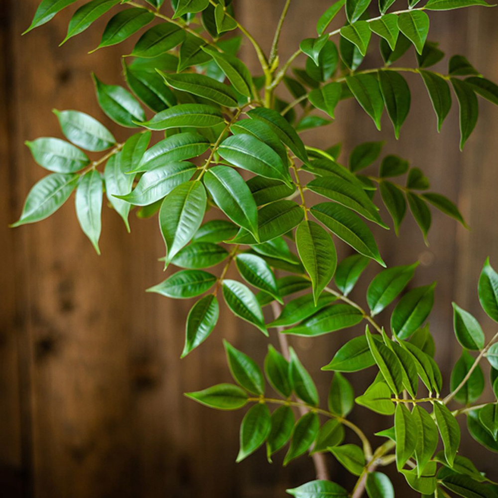 76-140cm Duża sztuczna gałąź d – Ficus Lyrata Tree recenzja i cena