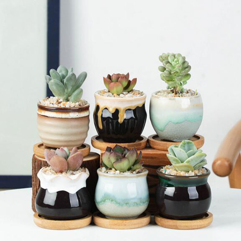 6 sztuk/zestaw ceramiczny zest – Aloe Vera Pot recenzja i cena