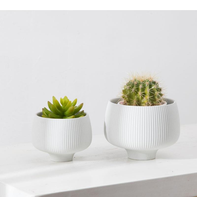 Wielokolorowe paski wazon cera – Aloe Vera Pot recenzja i cena