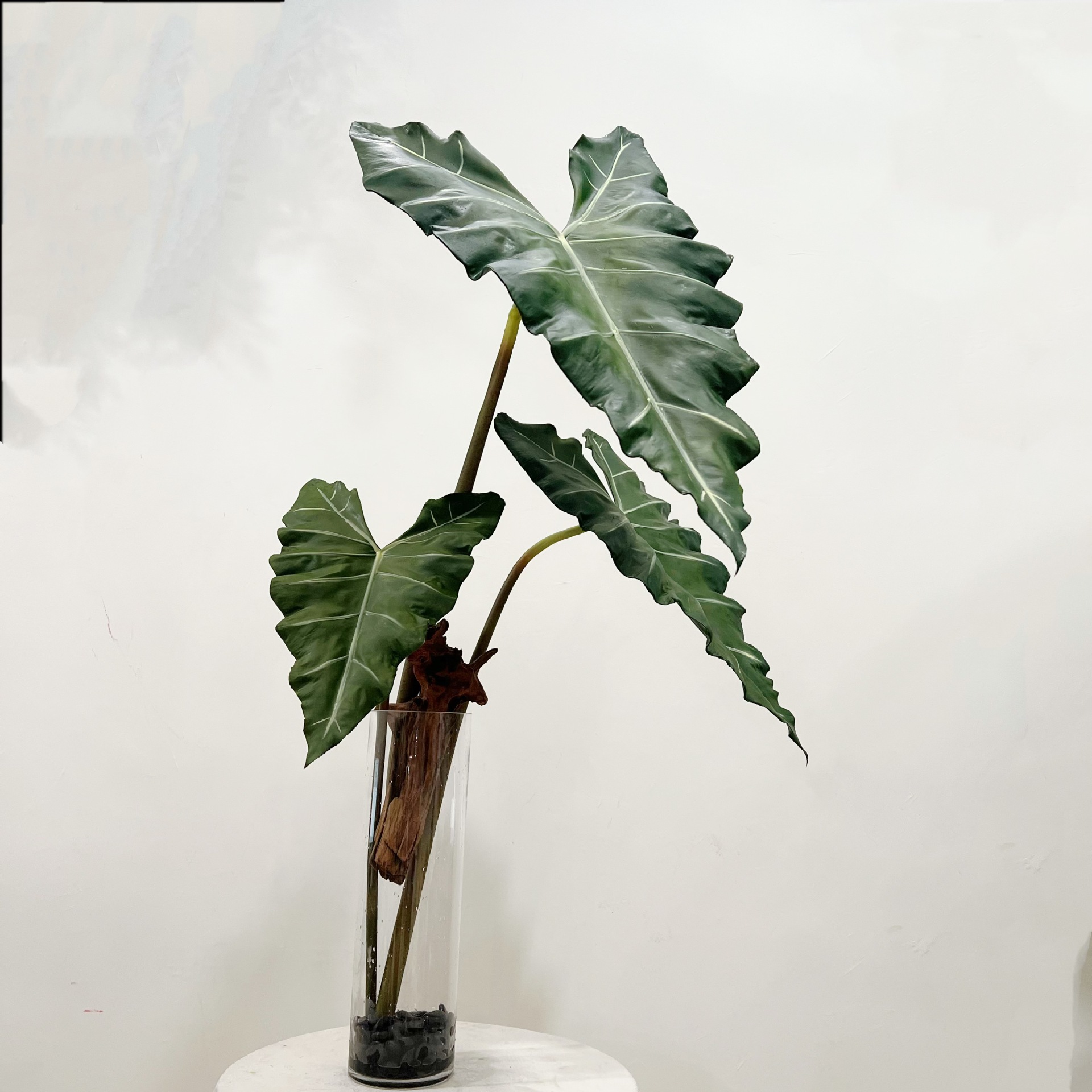 Symulowane długie PU w dotyku  – Monstera Adansonii recenzja i cena